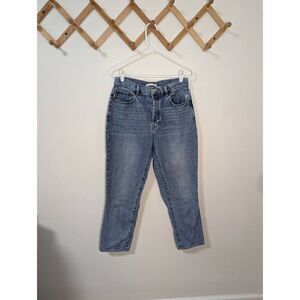 Pacsun High Rise Straight Button Fly Jeans - Size 29